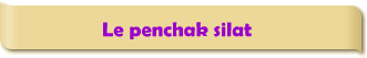Le penchak silat